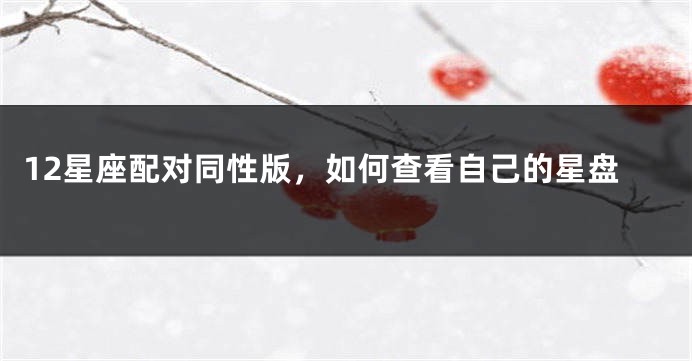 12星座配对同性版，如何查看自己的星盘