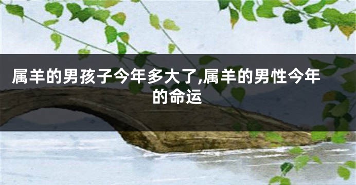 属羊的男孩子今年多大了,属羊的男性今年的命运