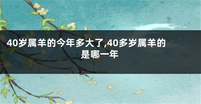 40岁属羊的今年多大了,40多岁属羊的是哪一年