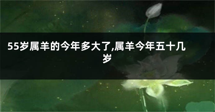 55岁属羊的今年多大了,属羊今年五十几岁
