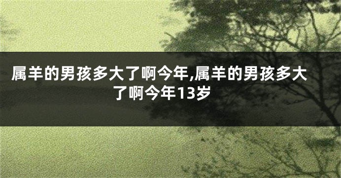 属羊的男孩多大了啊今年,属羊的男孩多大了啊今年13岁