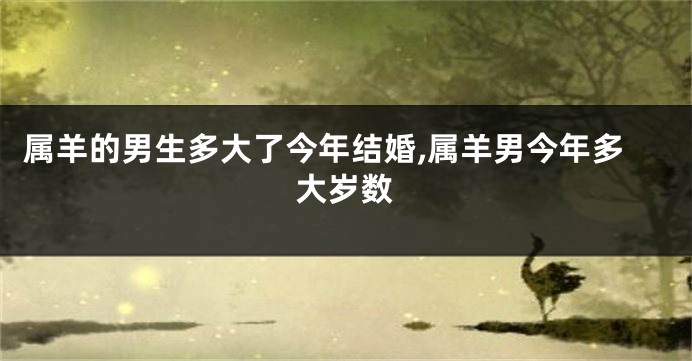 属羊的男生多大了今年结婚,属羊男今年多大岁数