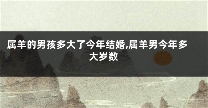属羊的男孩多大了今年结婚,属羊男今年多大岁数