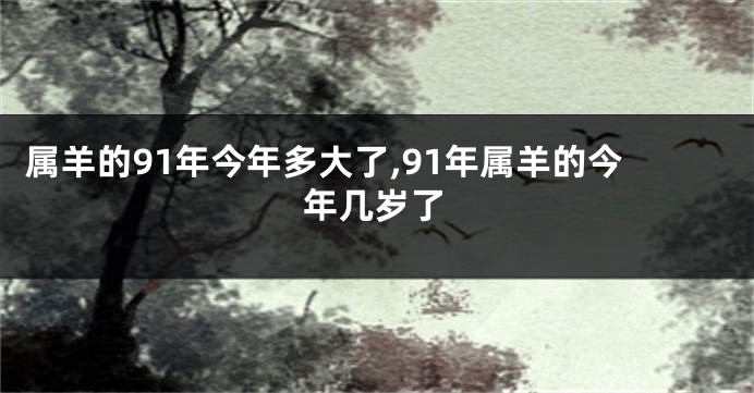 属羊的91年今年多大了,91年属羊的今年几岁了