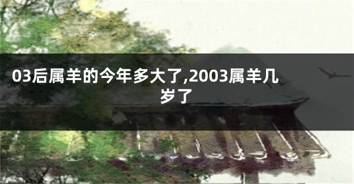 03后属羊的今年多大了,2003属羊几岁了