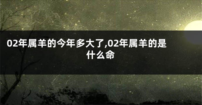 02年属羊的今年多大了,02年属羊的是什么命