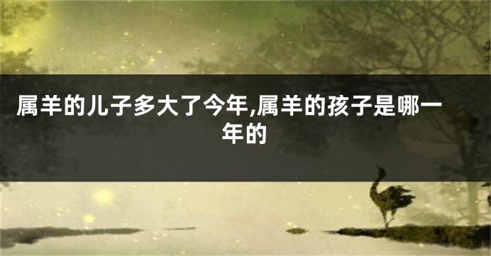 属羊的儿子多大了今年,属羊的孩子是哪一年的
