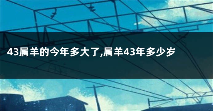 43属羊的今年多大了,属羊43年多少岁