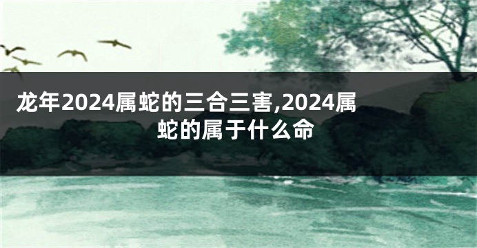 龙年2024属蛇的三合三害,2024属蛇的属于什么命