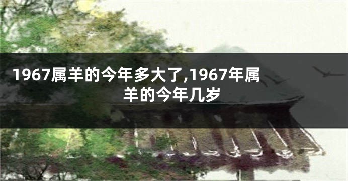 1967属羊的今年多大了,1967年属羊的今年几岁