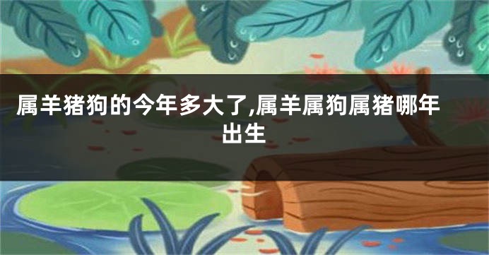 属羊猪狗的今年多大了,属羊属狗属猪哪年出生