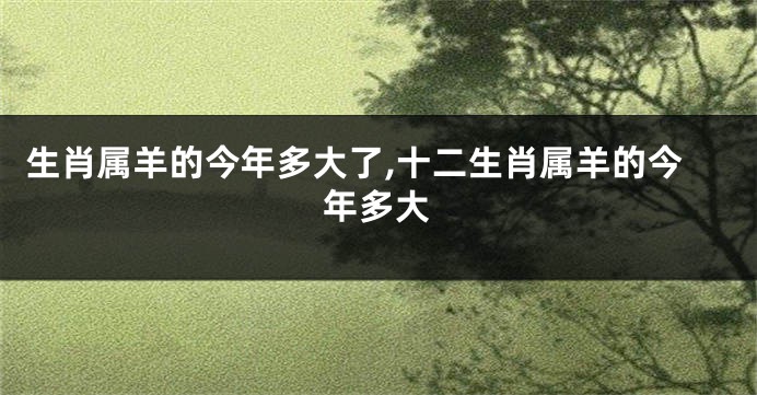 生肖属羊的今年多大了,十二生肖属羊的今年多大