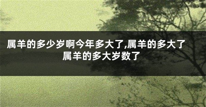 属羊的多少岁啊今年多大了,属羊的多大了属羊的多大岁数了
