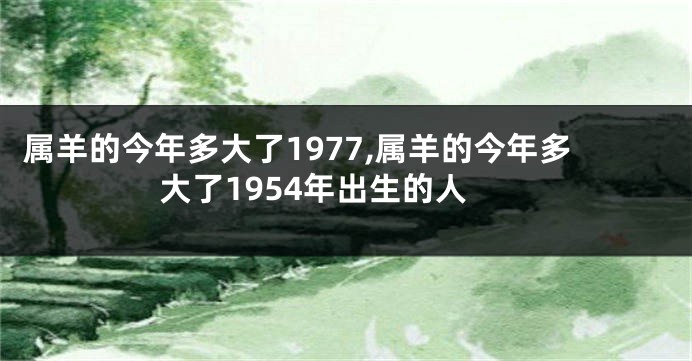 属羊的今年多大了1977,属羊的今年多大了1954年出生的人