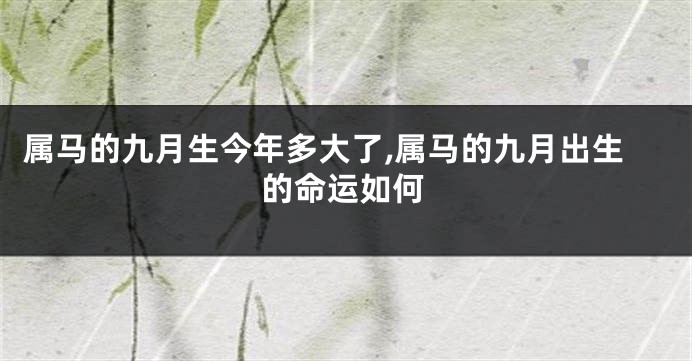属马的九月生今年多大了,属马的九月出生的命运如何