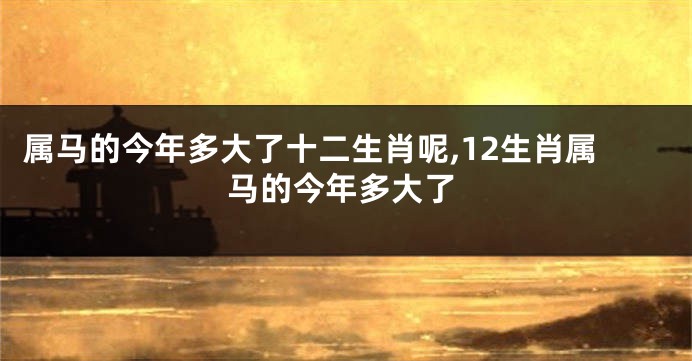 属马的今年多大了十二生肖呢,12生肖属马的今年多大了
