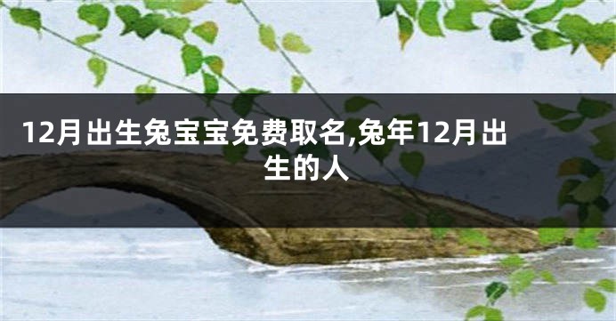12月出生兔宝宝免费取名,兔年12月出生的人