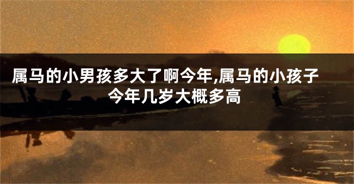 属马的小男孩多大了啊今年,属马的小孩子今年几岁大概多高