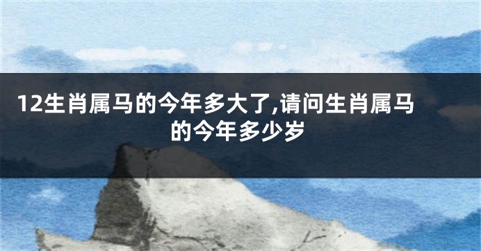 12生肖属马的今年多大了,请问生肖属马的今年多少岁