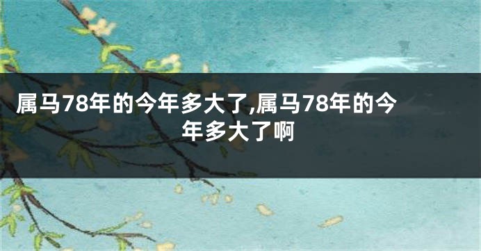 属马78年的今年多大了,属马78年的今年多大了啊