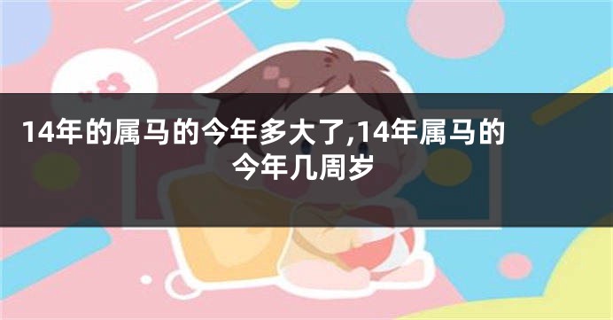 14年的属马的今年多大了,14年属马的今年几周岁