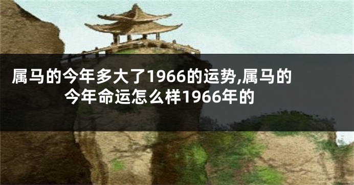 属马的今年多大了1966的运势,属马的今年命运怎么样1966年的