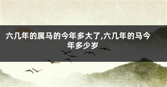 六几年的属马的今年多大了,六几年的马今年多少岁