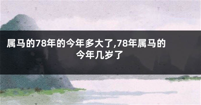 属马的78年的今年多大了,78年属马的今年几岁了