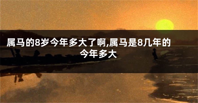 属马的8岁今年多大了啊,属马是8几年的今年多大