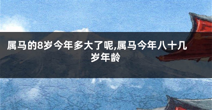 属马的8岁今年多大了呢,属马今年八十几岁年龄