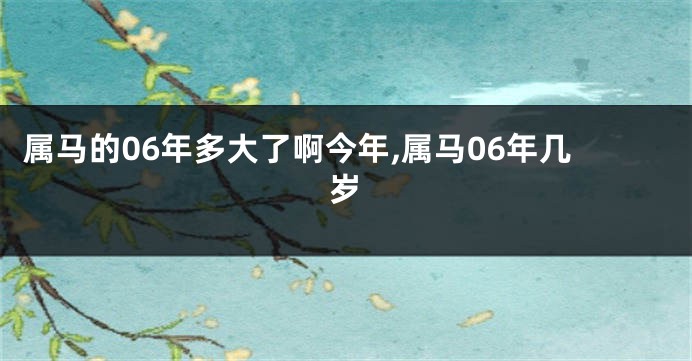 属马的06年多大了啊今年,属马06年几岁