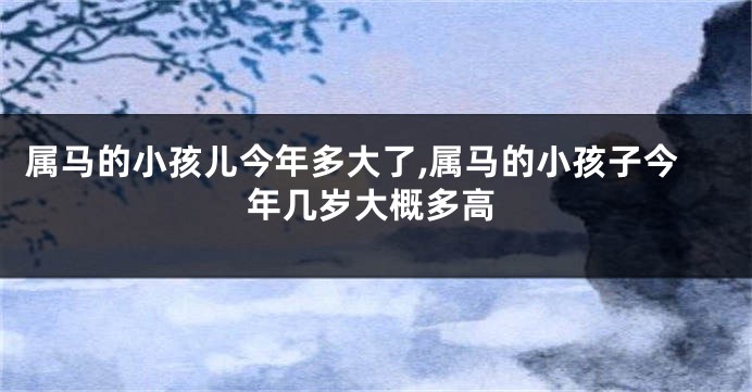 属马的小孩儿今年多大了,属马的小孩子今年几岁大概多高