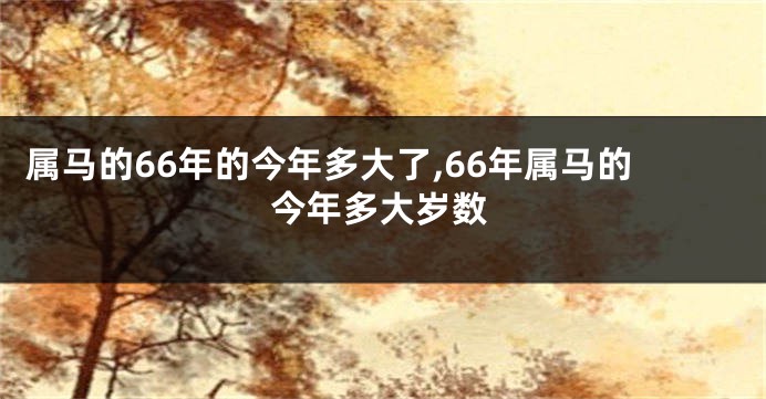 属马的66年的今年多大了,66年属马的今年多大岁数