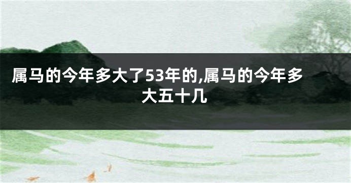 属马的今年多大了53年的,属马的今年多大五十几