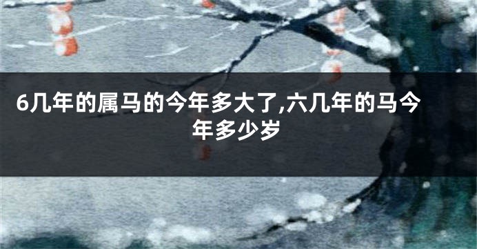 6几年的属马的今年多大了,六几年的马今年多少岁