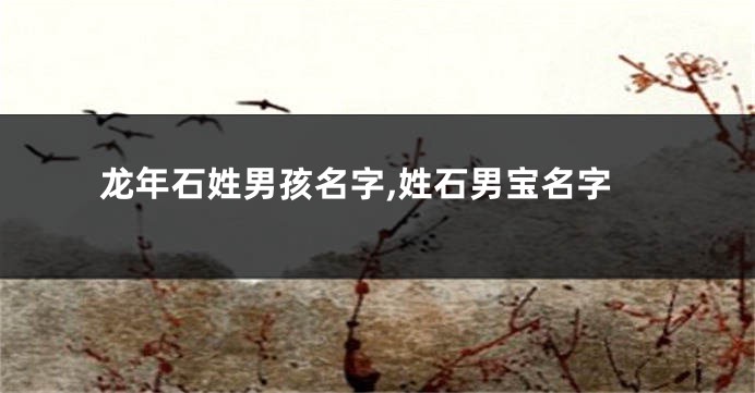 龙年石姓男孩名字,姓石男宝名字