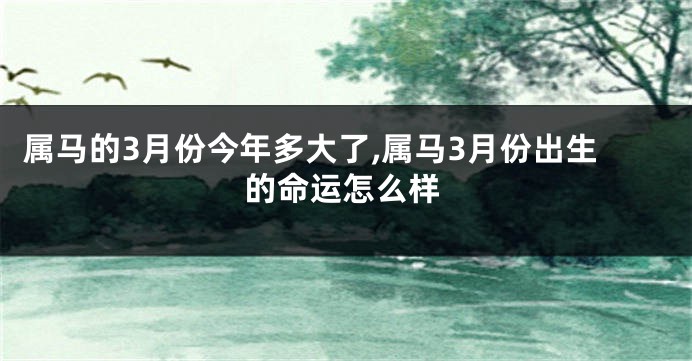 属马的3月份今年多大了,属马3月份出生的命运怎么样