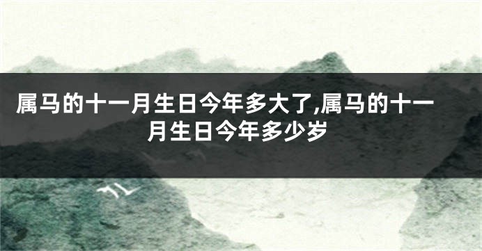 属马的十一月生日今年多大了,属马的十一月生日今年多少岁