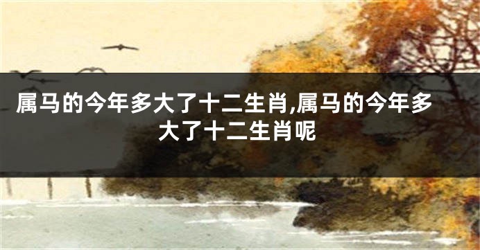 属马的今年多大了十二生肖,属马的今年多大了十二生肖呢