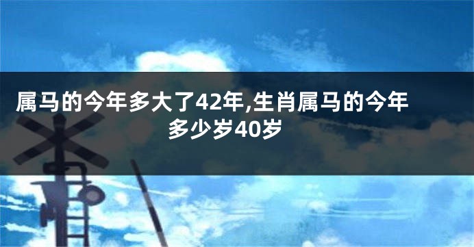 属马的今年多大了42年,生肖属马的今年多少岁40岁