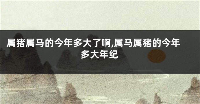 属猪属马的今年多大了啊,属马属猪的今年多大年纪