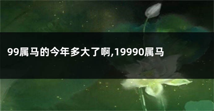 99属马的今年多大了啊,19990属马