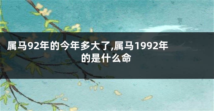 属马92年的今年多大了,属马1992年的是什么命