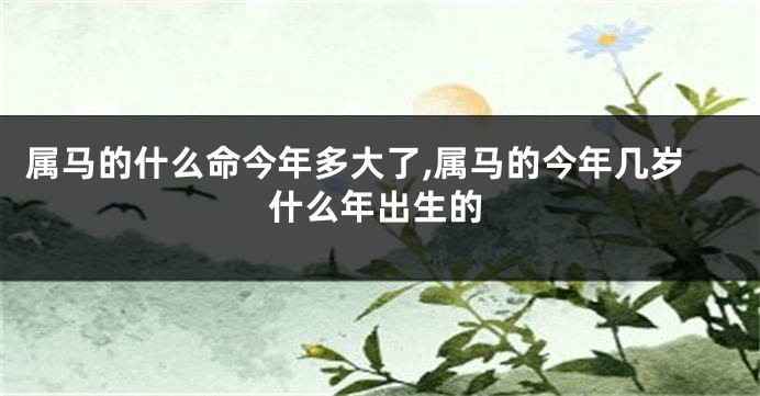属马的什么命今年多大了,属马的今年几岁什么年出生的