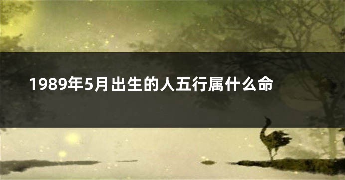 1989年5月出生的人五行属什么命