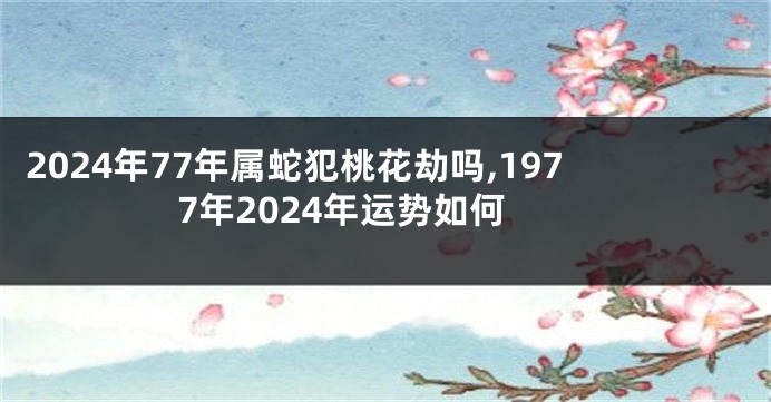 2024年77年属蛇犯桃花劫吗,1977年2024年运势如何