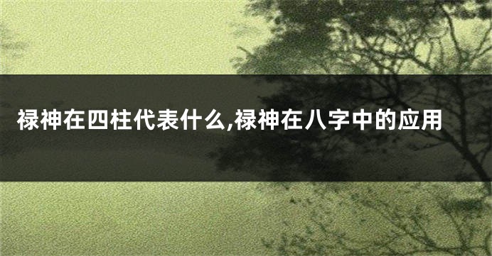 禄神在四柱代表什么,禄神在八字中的应用