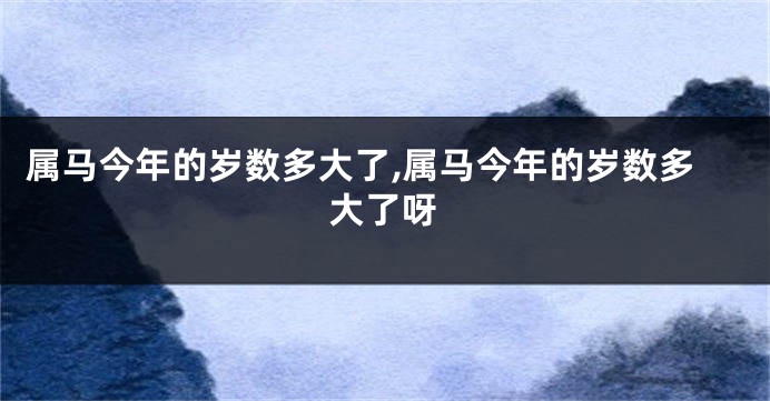 属马今年的岁数多大了,属马今年的岁数多大了呀