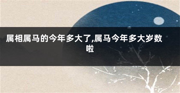属相属马的今年多大了,属马今年多大岁数啦