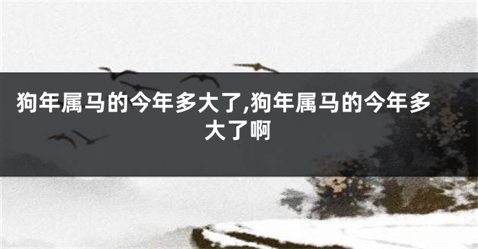 狗年属马的今年多大了,狗年属马的今年多大了啊